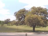 Texas, Goliad webcams