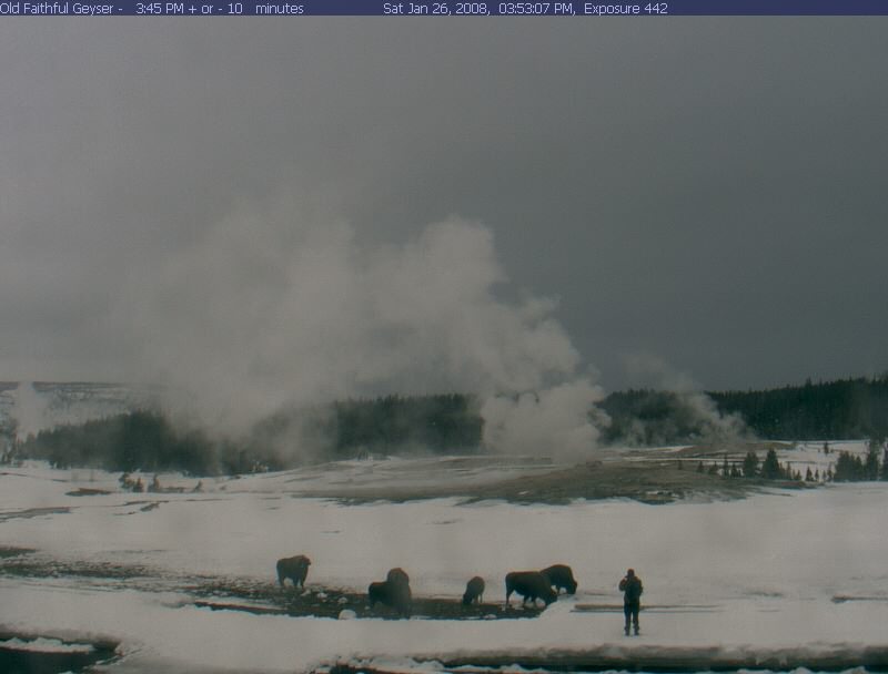 Yellowstone National Park webcams