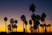 California, Venice Beach webcams