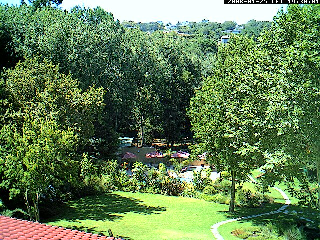 cape town webcams cape town garden